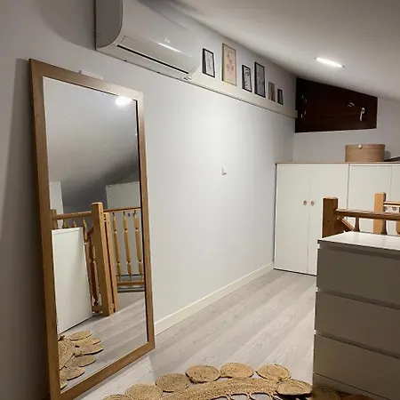 Apartment Duplex Basilica Del Pilar Temporada *